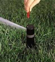 adjusting a Rain Bird sprinkler head with a screwdriver